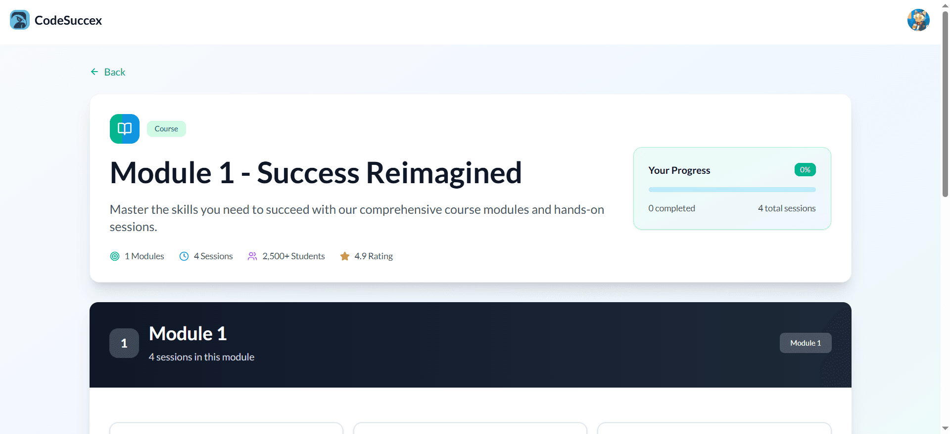 CodeSuccex screenshot 3